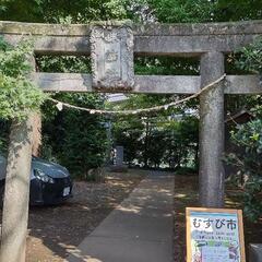 たまがわ~むすび市~