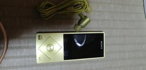 SONY　WALKMANデジタル_オーディオプレーヤー『NW-A25』