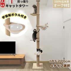 キャットタワー✩.*˚宇宙船付き
