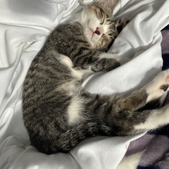3ヶ月の男🐱