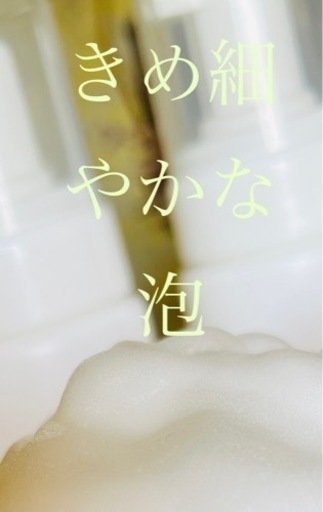 ポンプフォーマー200ml空容器120個