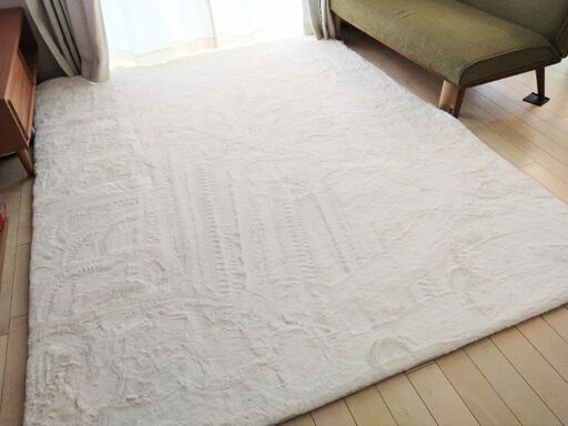 【ニトリ】ふっくらウレタン入り 保湿＋吸湿発熱＋蓄熱ラグ(200×240cm)