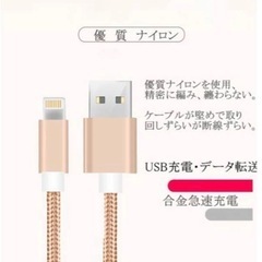 iPhone充電ケーブル 0.25m 2本 シルバーの画像