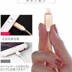 iPhone充電ケーブル 0.25m 2本 シルバーの画像