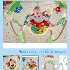 美品レインフォレスト　ジャンパルーの画像
