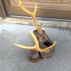 鹿ハンテングトロフィー、壁掛け、刀掛け　刀置き　帽子掛け、インテリアの画像