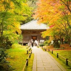 11月20日　松島散策撮影会
