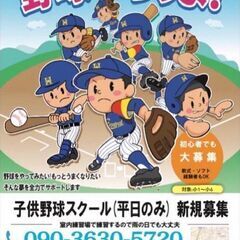野球を始めたい小学生　大募集！！　～一緒に硬式野球をやろうよ～の画像