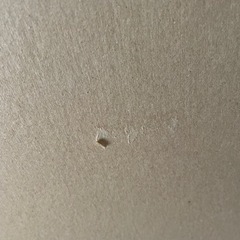 だんぼっちトールの画像