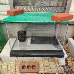 【決まりました】コトブキ 60cmガラス水槽 屋外飼育セット