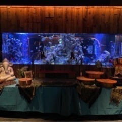 🎄イルミネーション目の前🎅ホテルのアクアリウムダイニング🐡既婚者...