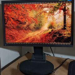 【モニター】EIZO FlexScan S2231W 22型 (...