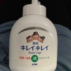 液体250ml(殺菌+消毒)ハンドソープポンプ