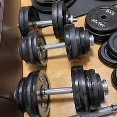 ファイティングロード　ダンベル