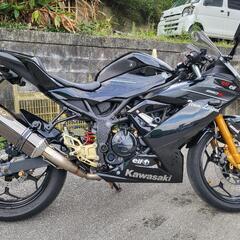Ninja250sl 