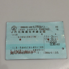 6日間周遊パス