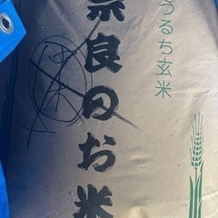 令和4年度　新米　ヒノヒカリ