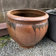 壺　水甕　めだか