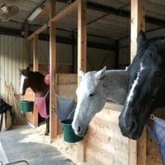 豊かな自然と動物に囲まれた放課後等デイサービスの画像