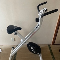 IRONMAN エアロバイク