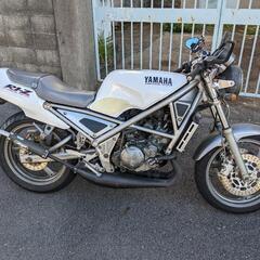 商談中　希少　格安YAMAHA　R1-Z　250cc　2スト