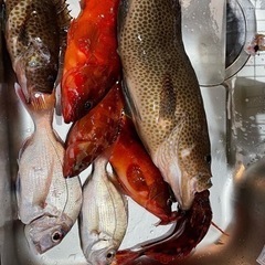 愛知県から2馬力ボートやカヤック海に出れるならなんでも！