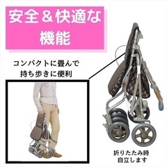 島製作所 サニーウォーカーAW-III CLの画像