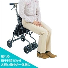 島製作所 サニーウォーカーAW-III CLの画像