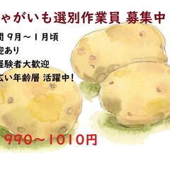 【馬鈴薯選別スタッフ】送迎あり♪扶養内勤務OK！