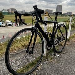 CANNONDALE CAAD8