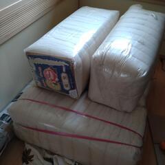 綿お譲りします（3.75kg/個）【11/8時点】計4個