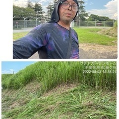 造園　庭園管理が主　一緒に働いてくれる方募集中　所沢市の画像