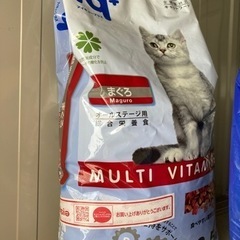 猫えさ
