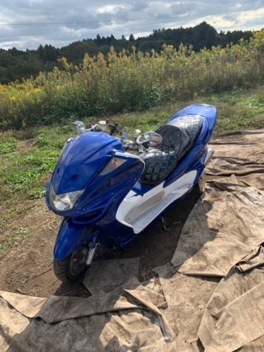 ヤマハマジェスティC 250 カスタム車両！