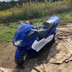 ヤマハマジェスティC 250 カスタム車両！