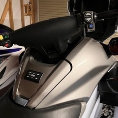 ウルトラ300LX