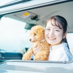 高校生もOK！未経験☆単発1日～OK◎カンタン軽作業＜＜繫忙期につき大量募集中＞＞の画像