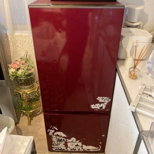 ※引取先決定済み