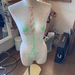 トルソー(取引中)の画像