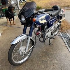 スズキ　コレダ50