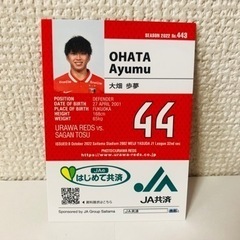 【値下‼️】浦和レッズ　サッカー　カードの画像