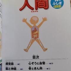 無料 ハッピーセット 小学館の図鑑NEO2冊セットの画像