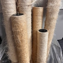 【引取者決定】キャットタワー 150cm 猫タワー無料の画像