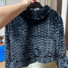 ファーボレロの画像