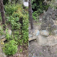草刈り、剪定、伐採、除草剤散布 - 剪定/造園
