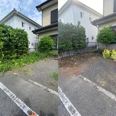 草刈り、剪定、伐採、除草剤散布 − 栃木県