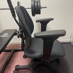 デュオレスト DR-7501SP オフィスチェア パソコンチェアの画像