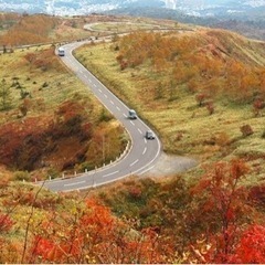 11月13日に🏍ツーリングに行きませんか！