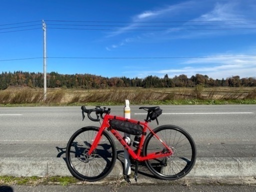 Trek Domane Al4 2021年モデル(サイズ54) 【公式通販】