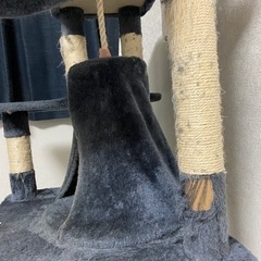 キャットタワー　中古の画像